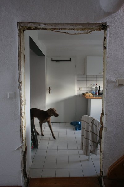 Ein Hund trabt durch eine Baustelle.