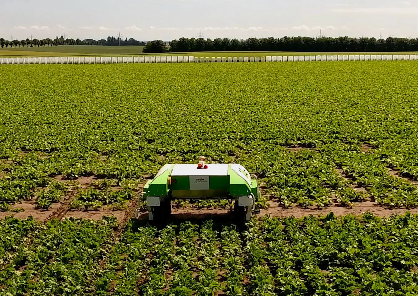Ein Roboter auf Rädern auf einem Versuchsfeld mit Saatgut der Firma Strube.