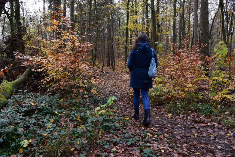 Beim Waldbaden nimmt man die Umgebung mit allen Sinnen wahr.