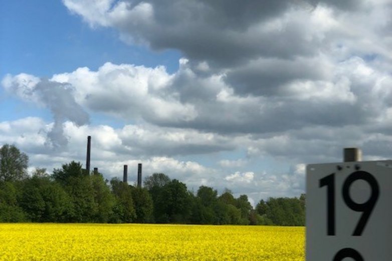 Ein Rapsfeld, dahinter ragen Schornsteine auf.