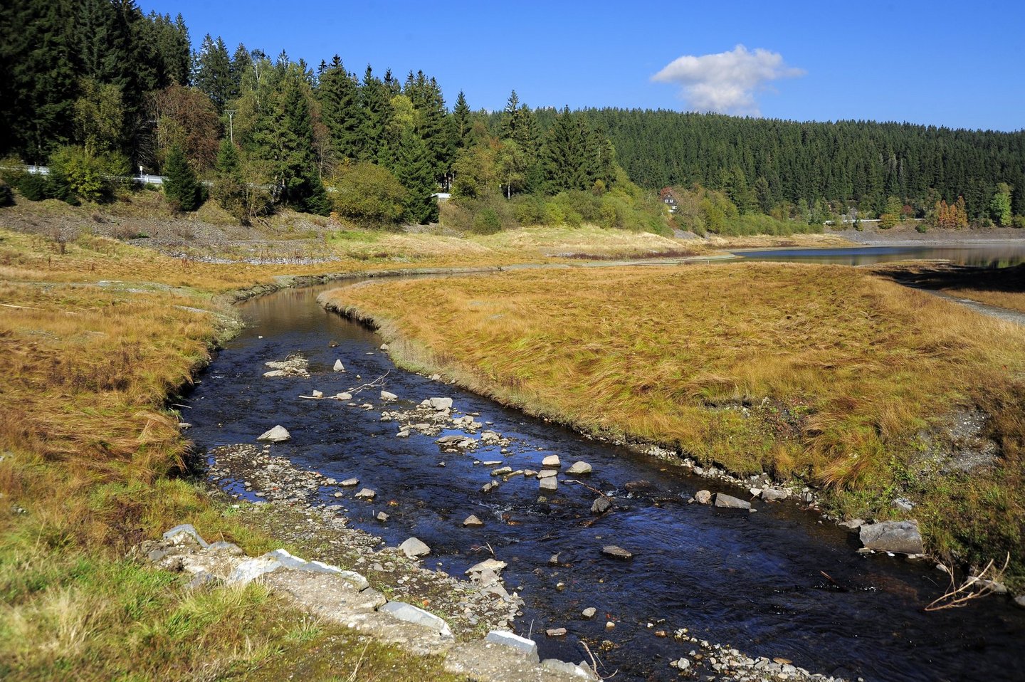 Der Okerstausee bei Altenau im Harz bei Sonne und blauem Himmel.