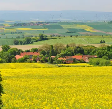  (Bildrechte: Frank Bierstedt)