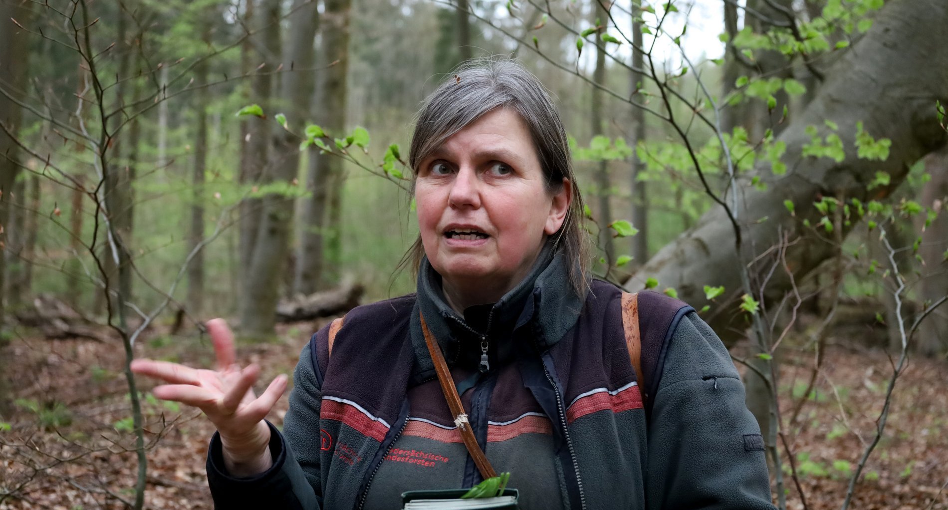 Försterin Antje Feldhusen klärt über den Wald und die Nachhaltigkeit auf.