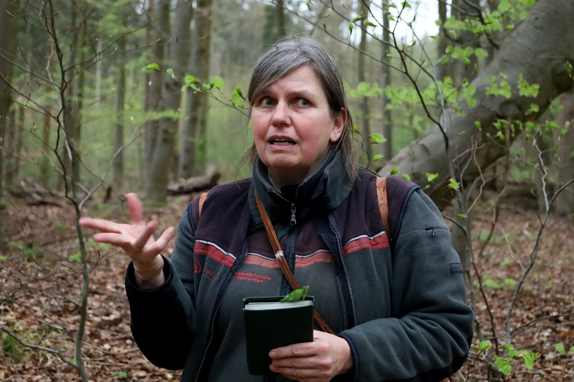 Försterin Antje Feldhusen klärt über den Wald und die Nachhaltigkeit auf.