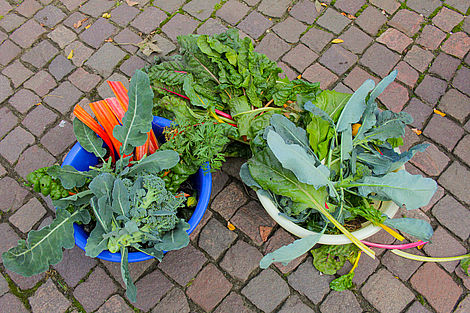 Gemüsepfanne a la Reallabor Hagenmarkt.