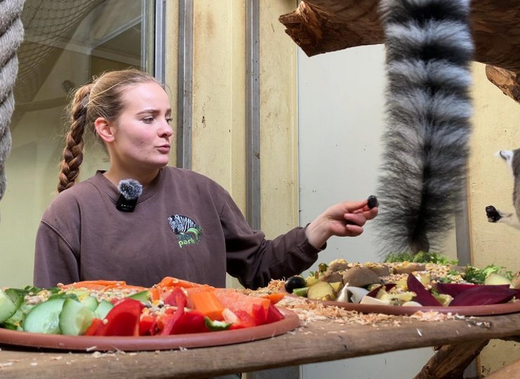 Tierpflegerin Linda Wilhelm füttert Lemuren. Der Tierpark Essehof sorgt mit der Arterhaltung für mehr Nachhaltigkeit