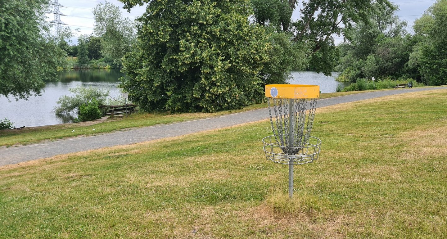 Man blickt auf einen Discgolfkorb in einer Parkanlage. Im Hintergrund liegt ein See.
