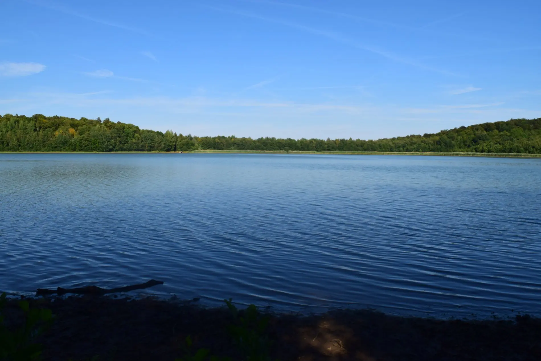 Idyllischer Reihersee inmitten von Wäldern.