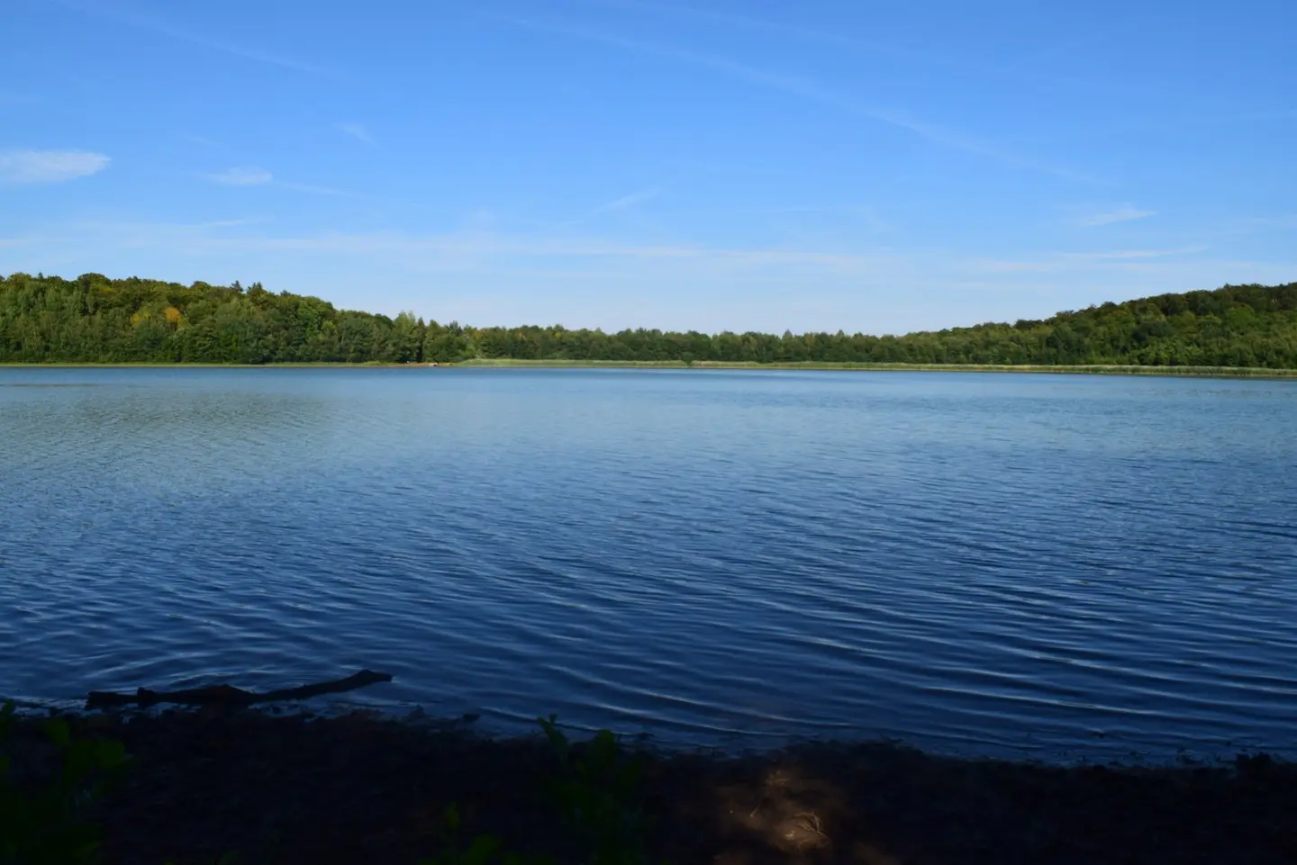 Idyllischer Reihersee inmitten von Wäldern.
