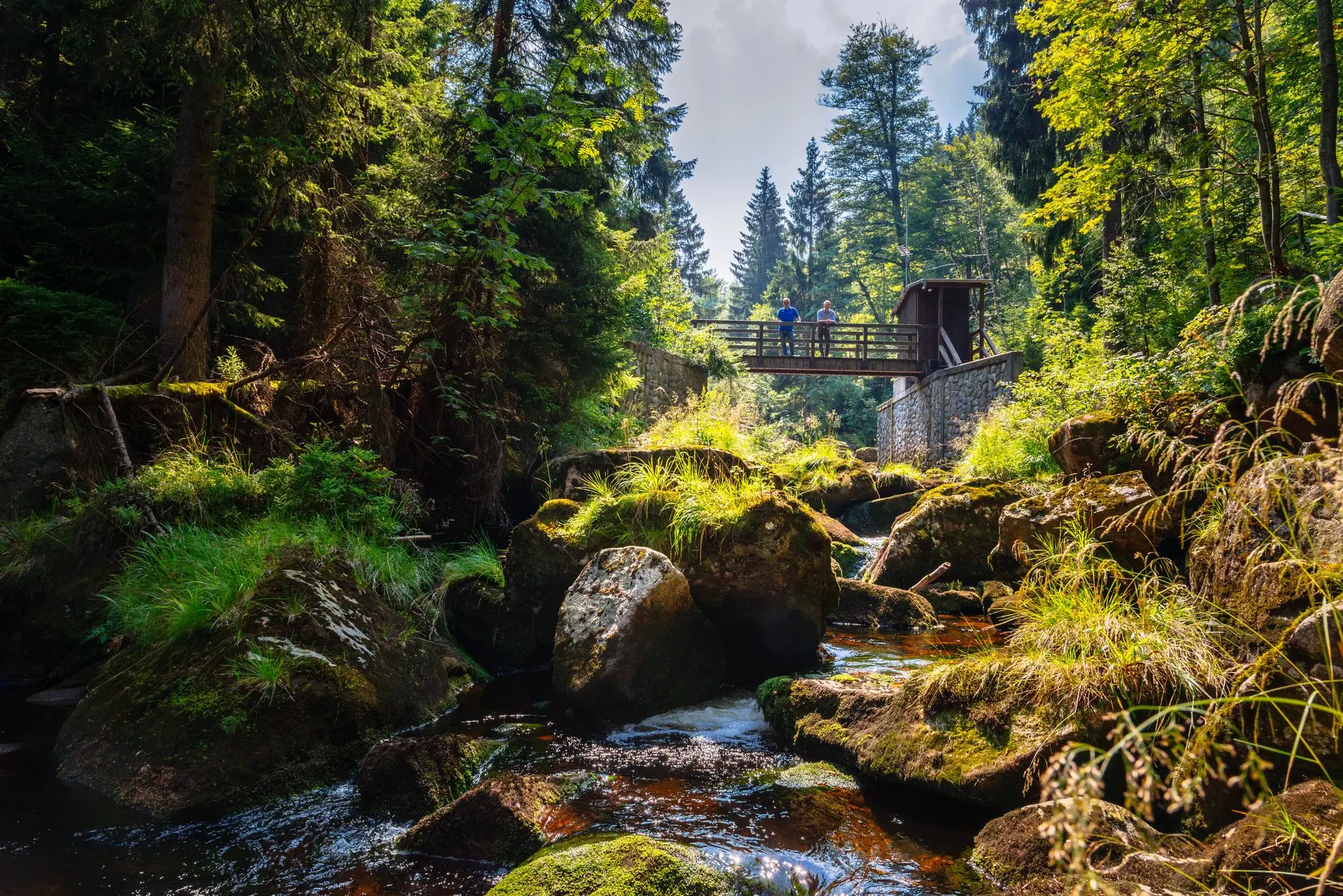 Ein Waldbach, über den sich eine Brücke spannt. Darauf stehen zwei Menschen.
