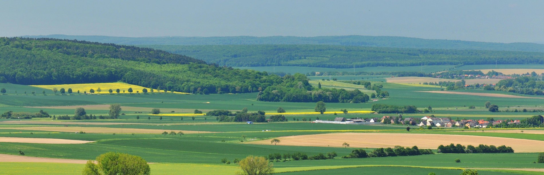 Rapsfelder und Blick über die Landschaft