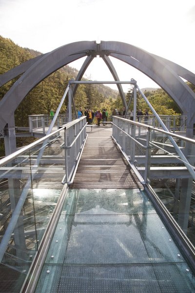 Gläserne Stege geben den Blick auf die Baumkronen im Harz frei.