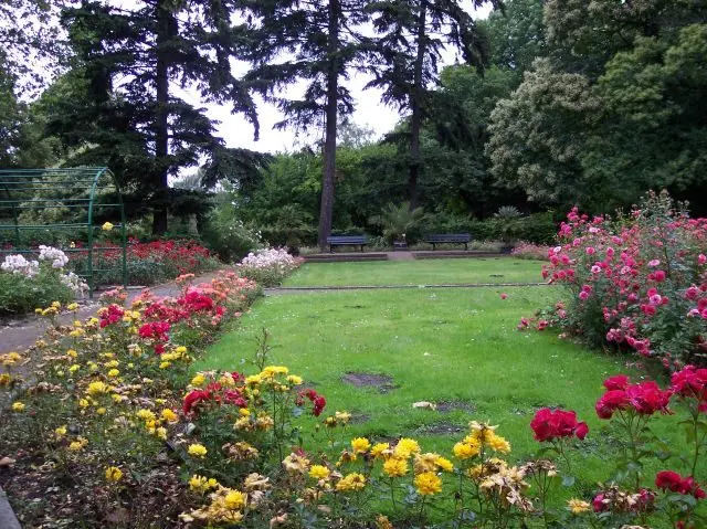 Blumenrabatte im Schulgarten am Dowesee in Braunschweig.
