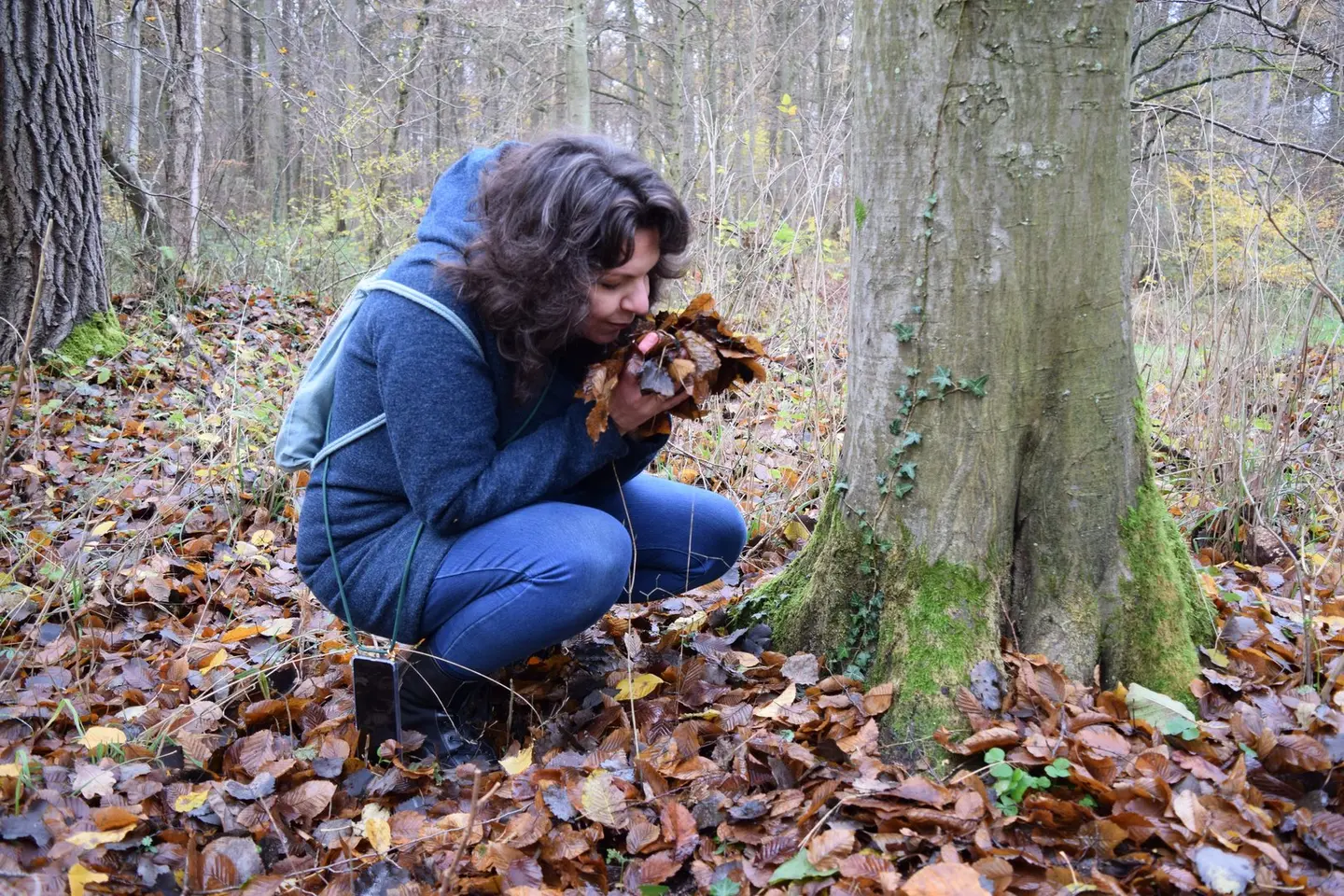 Das Laub riecht immer unterschiedlich und löst wohltuende Reaktionen aus.