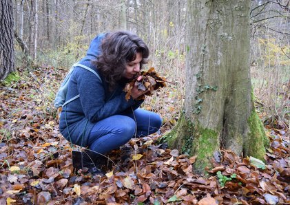 Von Work-Life-Balance bis Waldbaden