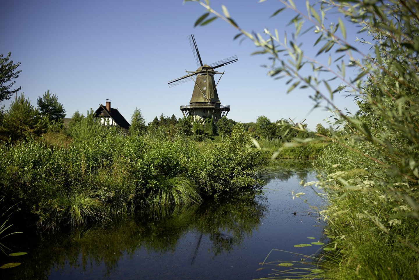 Blick auf eine Mühle vom Mühlenmuseum in Gifhorn 