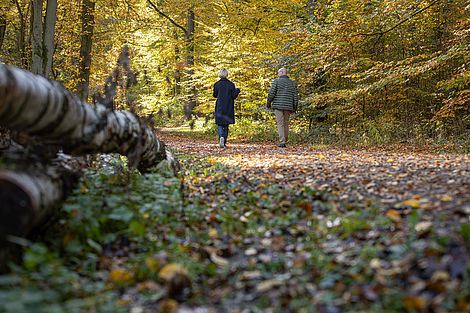 Ein Mann und eine Frau gehen in einem Wald spazieren.