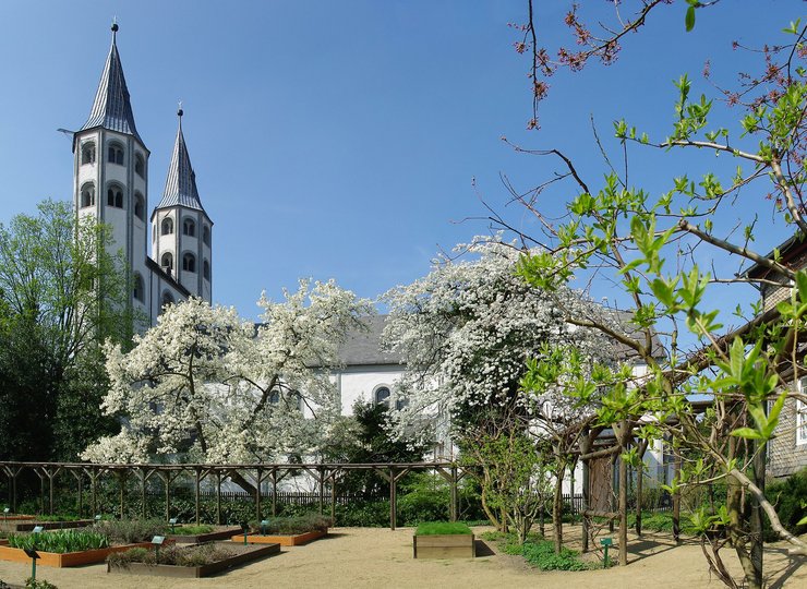 Die Klosterkirche Neuwerk in Goslar hat einen wunderschönen Kräutergarten. 