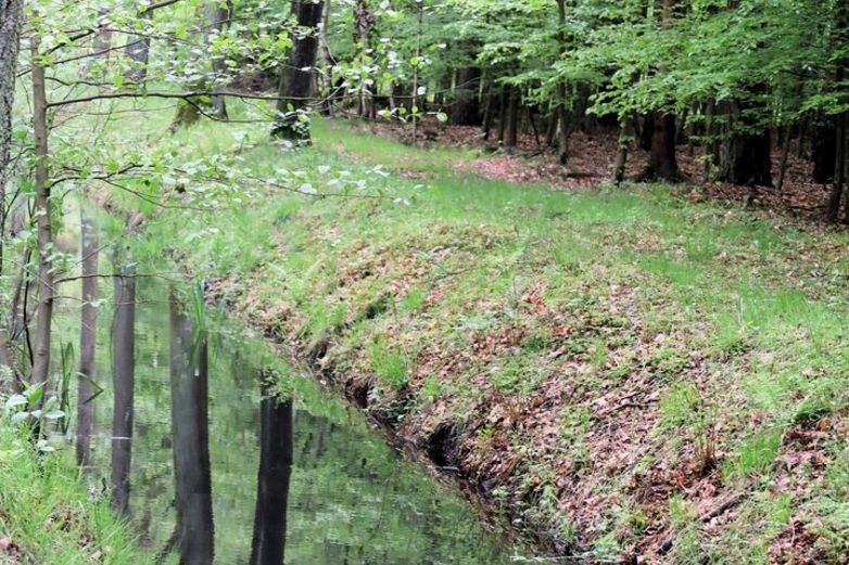 Überall durchziehen Gräben das einstige Sumpfgebiet.