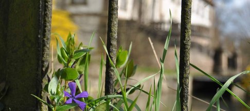 Noerdliches_Harzvorland_Tourismusverband_Schloss_Reingelheim_Salzgitter_2017-(46)_web