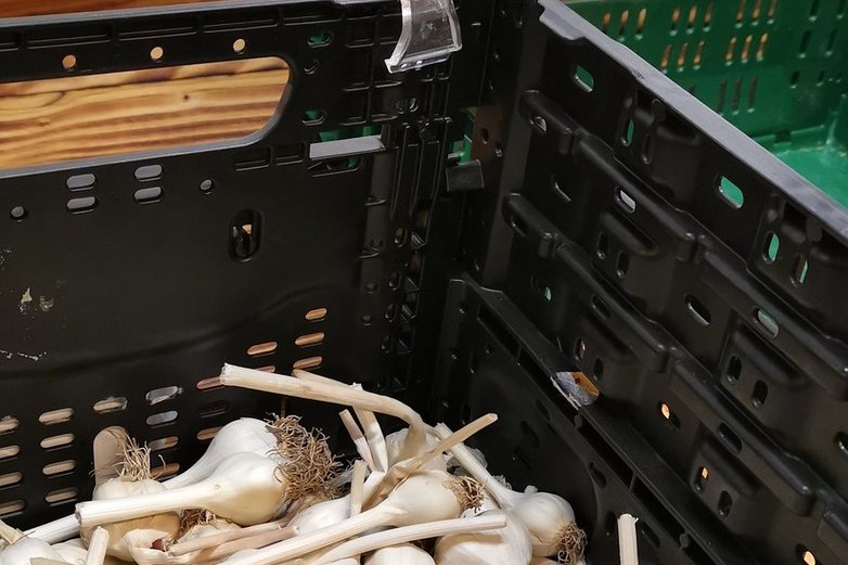 Knoblauch ist im Frühling noch aus eigener Ernte im Angebot. 