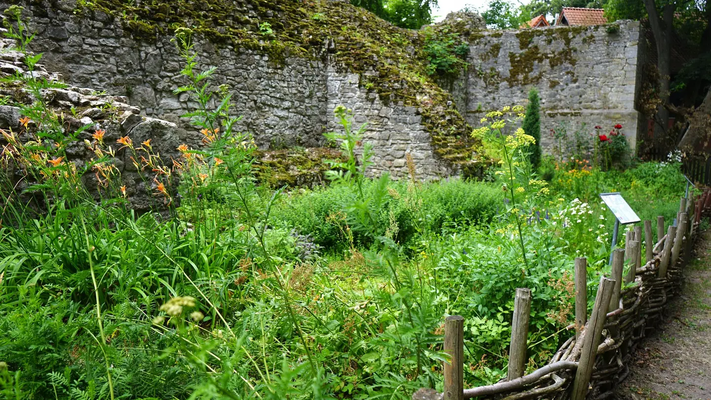 Blick auf den Burggarten, in dem sich bald Schüler betätigen werden.