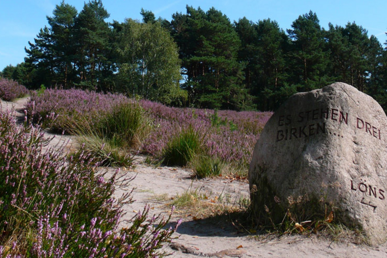 übergroßer Hinkelstein in der Heide am Wegesrand