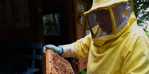 150617 Foto Bienenhausbesuch Schaub Und Waben Mariel Reichard(Bloggerin) Web