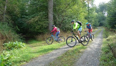 Fahrradfahrer biegen von einem Feldweg auf einen schmalen Pfad ab.