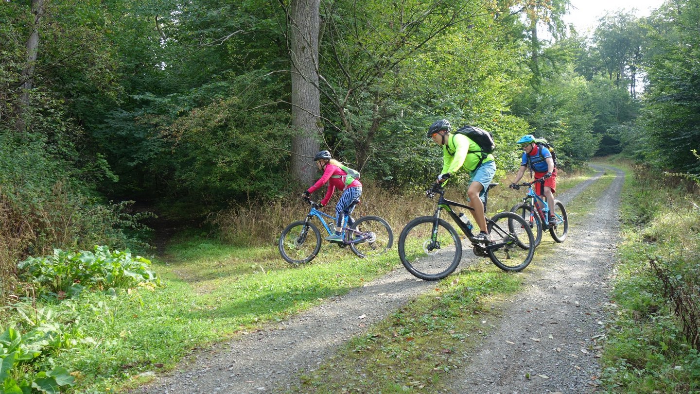 Fahrradfahrer biegen von einem Feldweg auf einen schmalen Pfad ab.
