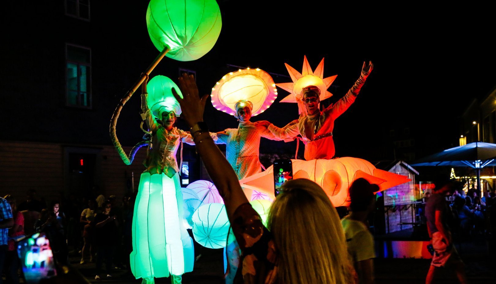 Altstadtfest Wolfenbüttel Walkacts