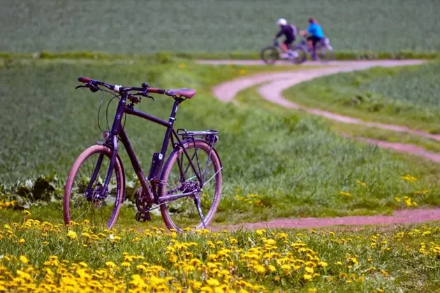 Ein Fahrrad an einer Blumenwiese.