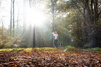 Man blickt auf eine Joggerin mit Hund in einem Waldstück