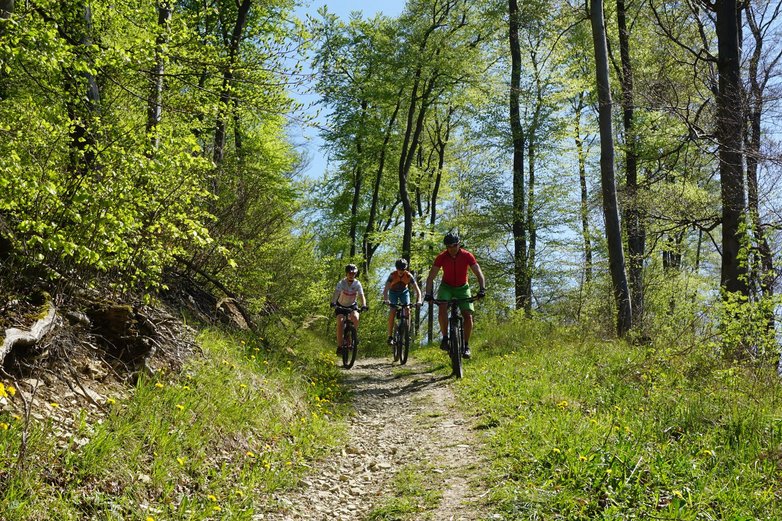 Radfahrer inmitten eines grünen Weges Richtung Luttertal.