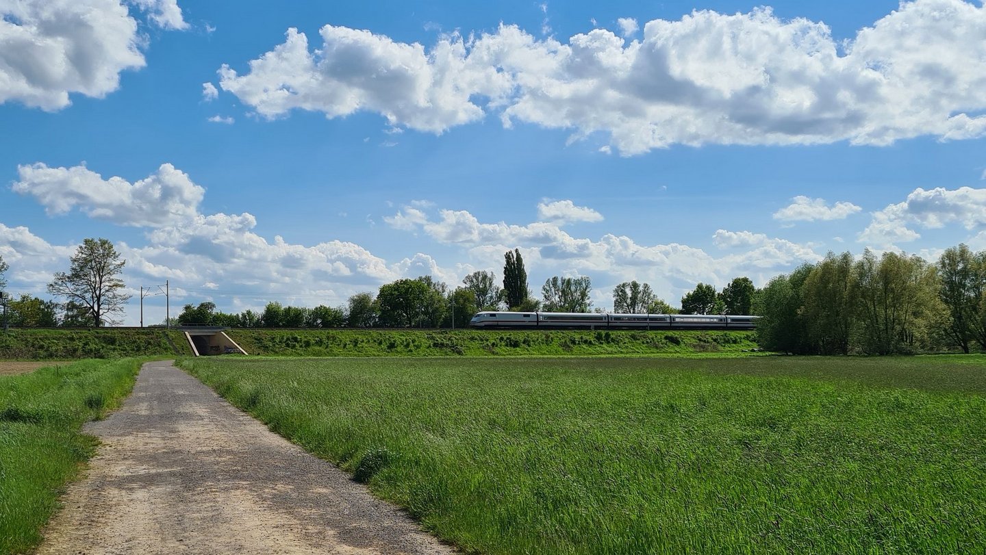 Man blickt über einen Feldweg auf eine befahrene Zugtrasse.