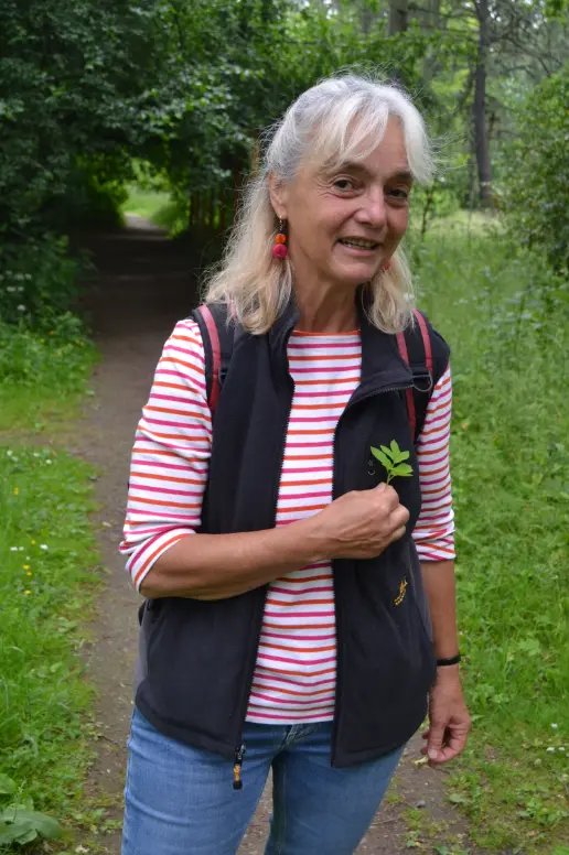 Gisela Stöckmann zeigt ein besonders verbreitetes Wildkraut: Den Giersch.
