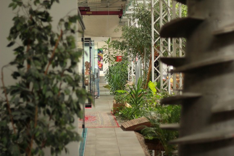 Ein Gang in einem Bürogebäude in Braunschweig, flankiert mit viel Glas und Pflanzen.