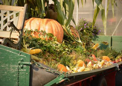 Wir feiern den Herbst - coole Events für kühle Tage