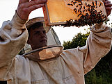 Lorenz Albrecht hält einer Bienenwabe gegen den Himmel.  (Bildrechte: Honigmanufaktur-Albrecht)