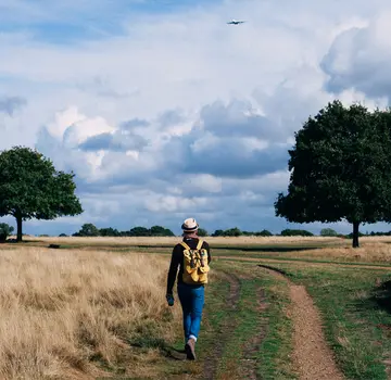  (Bildrechte: Clem Onojeghuo (pexels.com))