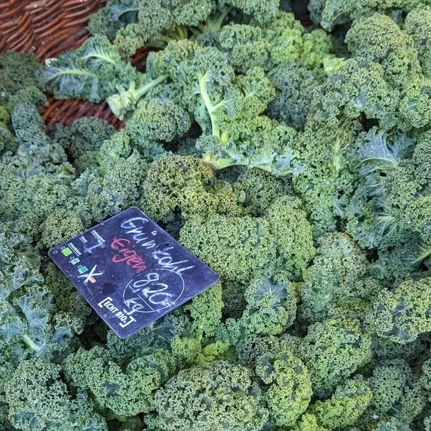 Grünkohl, Wintergemüse