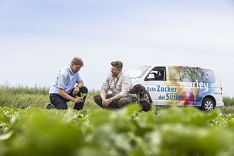 Zwei Männer knien auf einem Feld und begutachten eine Pflanze, daneben sitzt ein Hund.