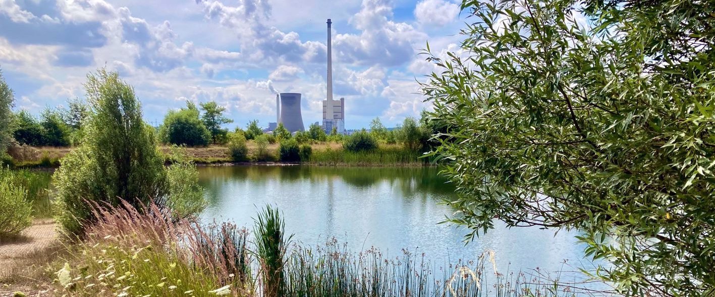 Helmstedter Revier, Karpfenteich, Kraftwerk Buschhaus