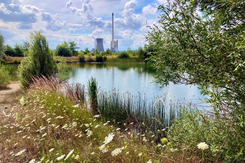 Helmstedter Revier, Karpfenteich, Kraftwerk Buschhaus