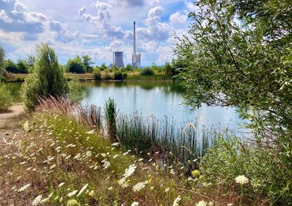 Ideen für eine grüne Zukunft