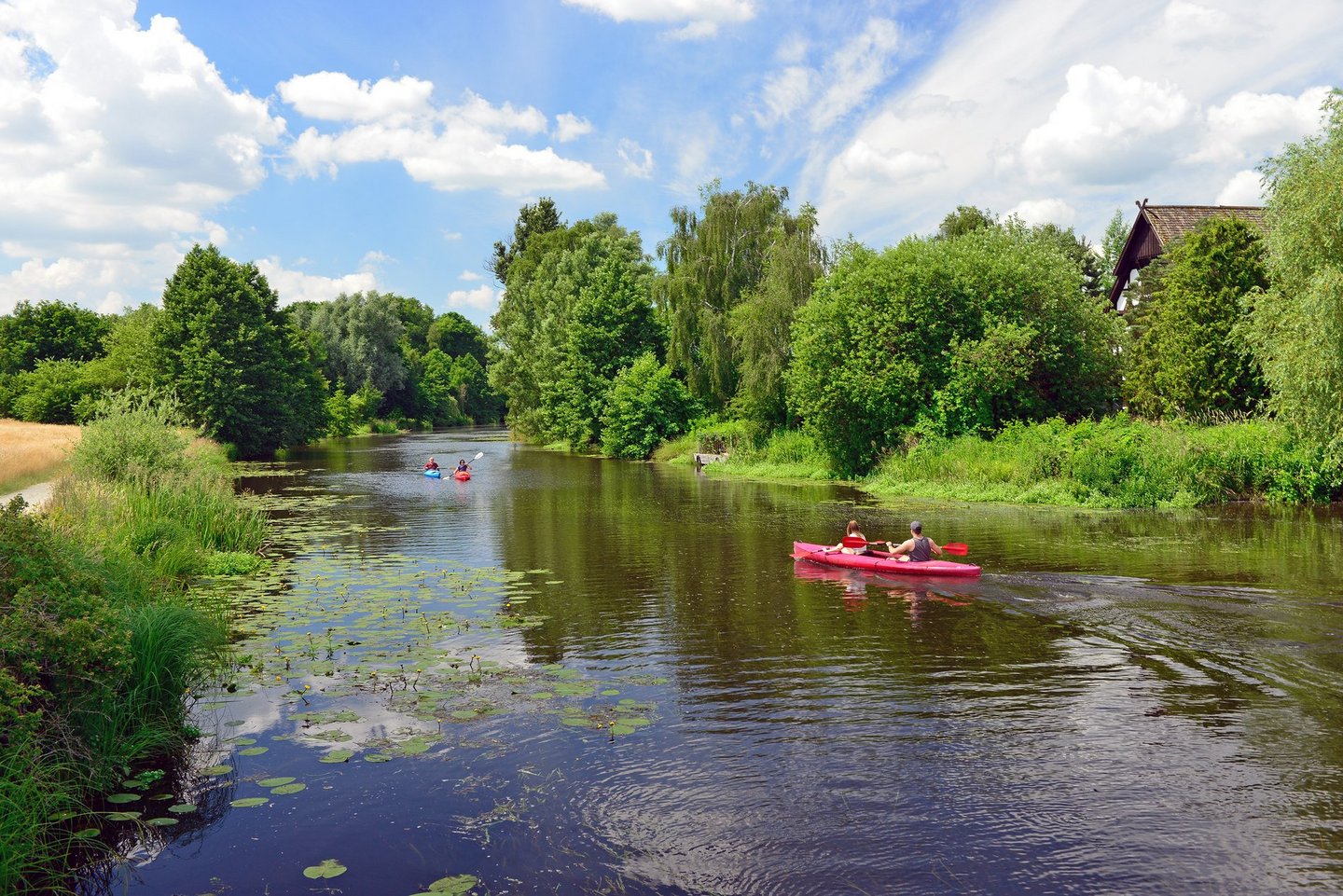 Man blickt auf den Flusslauf der Ise, auf dem drei Kanus fahren. Der Fluss wird auf beiden Seiten von Bäumen und Feldern eingerahmt. 