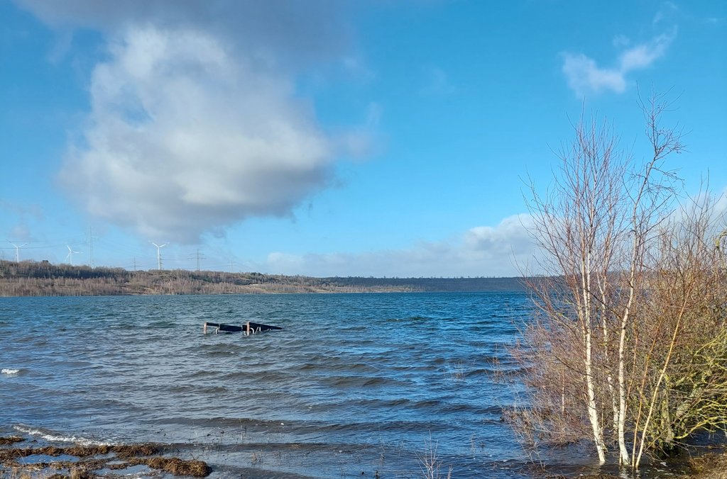 Lappwaldsee 2024
