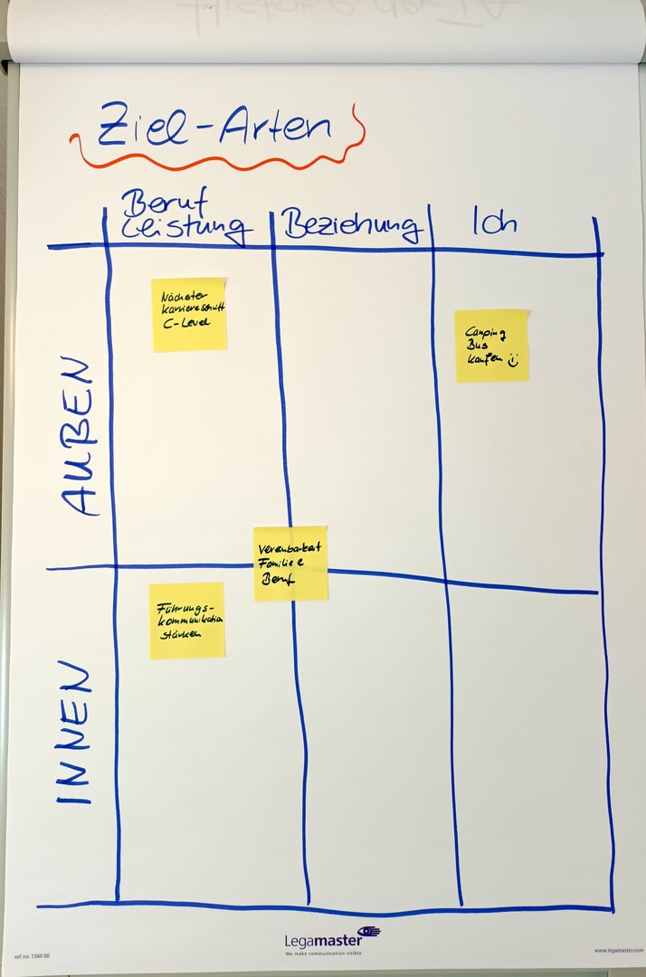 Grafische Darstellung Ziel-Arten beim Coaching.