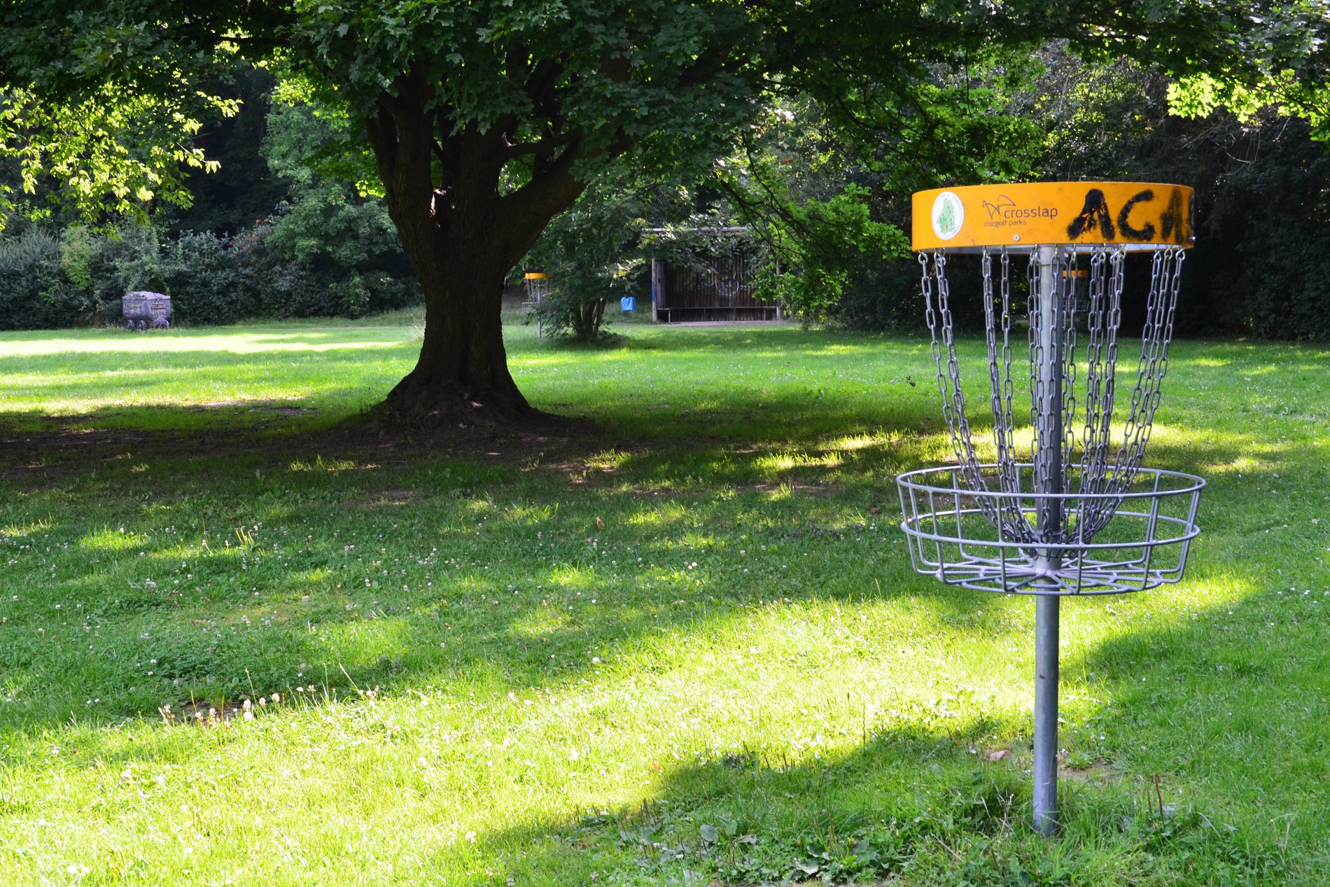 kleine Konstruktion neben Baum am Seilbahnberg