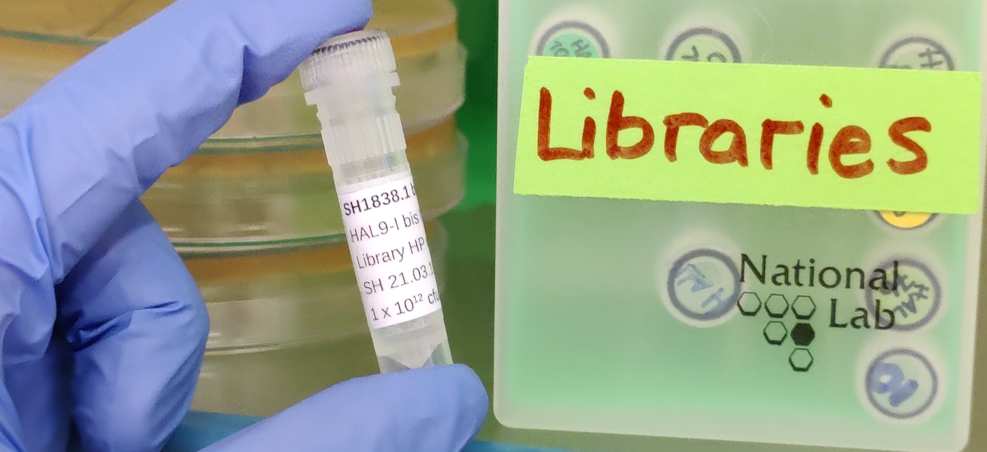 Dieses kleine Röhrchen enthält eine Antikörper-Gendatenbank mit rund 10 Milliarden Antikörper-Bauplänen.